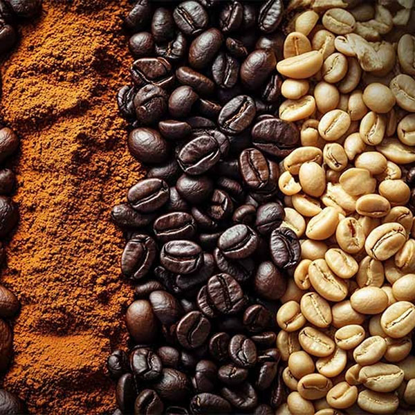 Premium & Specialty Coffee